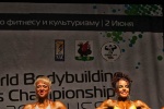 Mistrzostwa_Swiata_2012_Polfinal_014.jpg